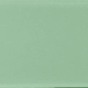  Subway Menta Floor & Wall Tile: Fargblock Collection 