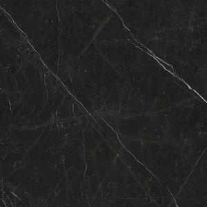 floor tiles Nero Marquinia Floor & Wall Tile: I Marmi Pro Collection | Floors & Baths Pro's