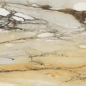 Mv 90 Floor & Wall Tile: Bianco Collection | Floors & Baths Pro's