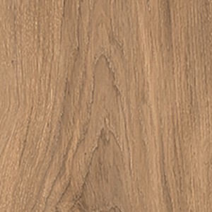 floor tiles Joy Floor & Wall Tile: Cocoon Collection | Floors & Baths Pro's