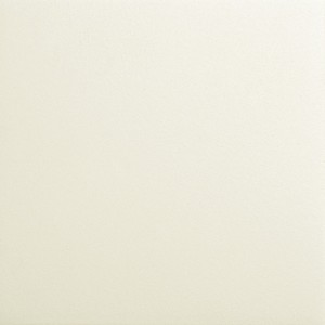 floor tiles Tundra-Bits Floor & Wall Tile: Bits Collection | Floors & Baths Pro's