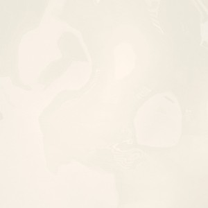 floor tiles Ivory Floor & Wall Tile: Monochrome Collection | Floors & Baths Pro's
