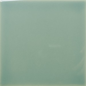floor tiles Fern Floor & Wall Tile: Fayenza Collection | Floors & Baths Pro's