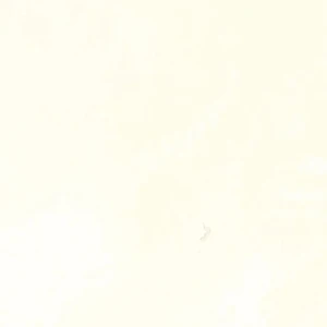  2", AfmBOoo89VEGXlh3MXbK5Yxo81Vjbz1A VXjTQ40YE7NCAXeO52ZitaK Bone Floor & Wall Tile: Souk Wall Collection 