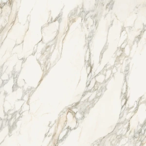  Honed Calacatta Gold Floor & Wall Tile: Calacatta Gold Collection 