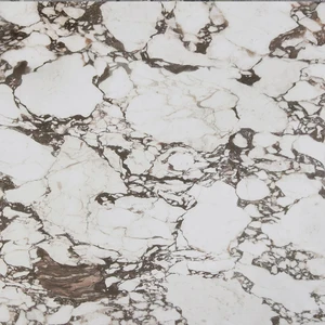  Residential And Commercial, 15" Calacatta Viola Floor & Wall Tile: Calacatta Viola Collection 