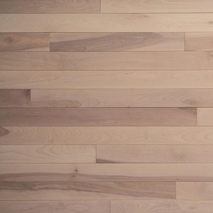 1 2" Birch Hardwood Flooring by Wickham Hardwood Flooring 1 2" Birch Hardwood Flooring | Wickham Hardwood Flooring