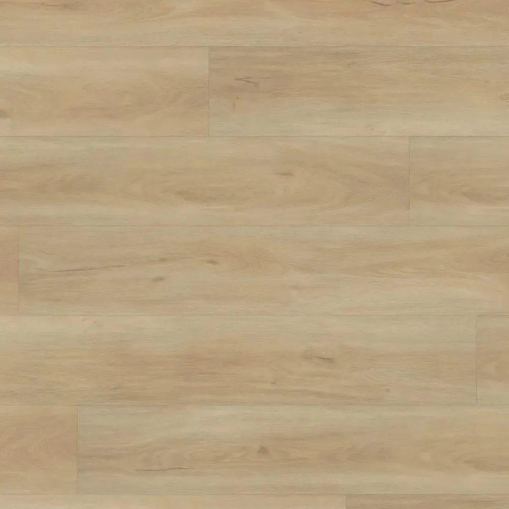 Oceania Damselfish Vinyl Plank Flooring (2193 - Beaulieu)